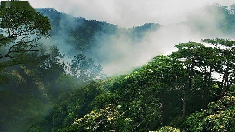 上海邮政快递停运时间最新通知2022？游戏画面