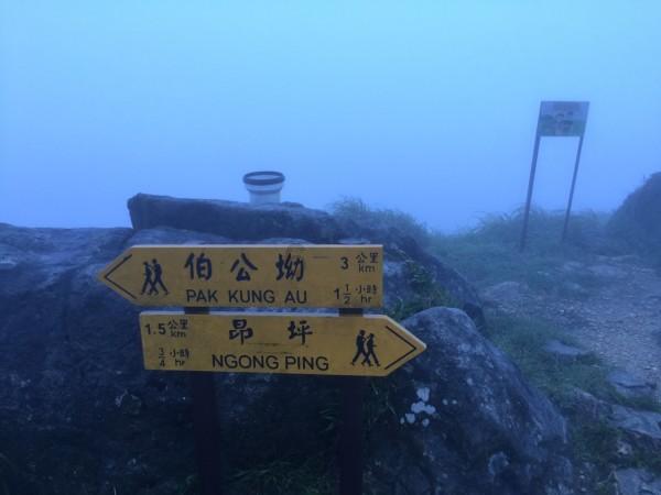 燃烧吧大脑装瓶子游戏
