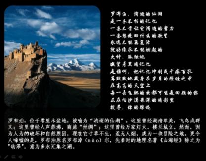 暗夜行驶者