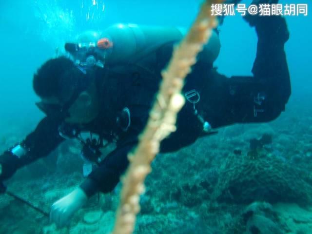 泰山队新援高准翼参加训练，克雷桑归队在即，下周阵容会更齐整
