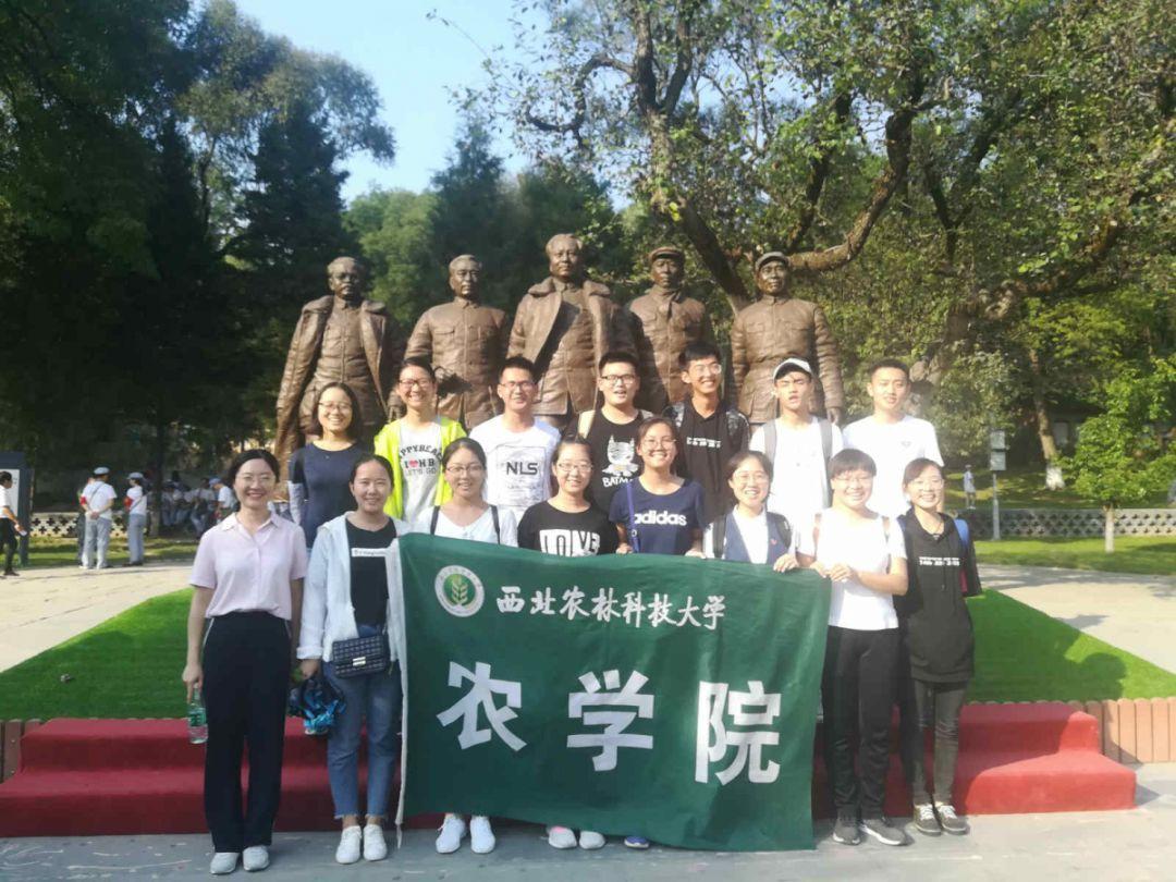 王者荣耀:那些令人印象深刻的台词,你最喜欢哪一句